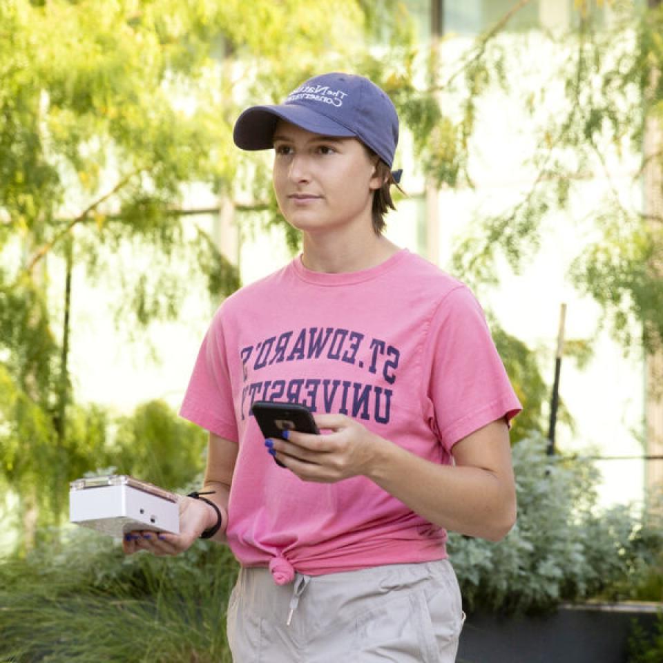 This image shows a woman with short brown hair, wearing a blue cap and a pink T-shirt with "St. 365比分网电竞" printed on it. 她一手拿着智能手机，另一只手拿着一个白色的小设备. 这个女人在户外，在一片郁郁葱葱的绿色区域，周围有树木和植物. 背景是一座有大窗户的建筑，暗示着城市或校园的环境. 这名妇女看起来很专注，很可能在从事田野调查或数据收集活动.