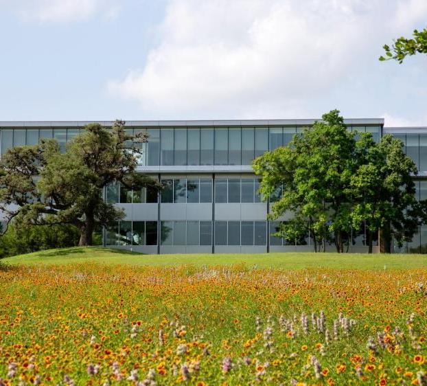 The image shows a modern, multi-story building with large glass windows. In front of the building, there is a field filled with various wildflowers in bloom, displaying a mix of colors. Several trees are scattered around the field, providing a mix of greenery. The sky is partly cloudy with patches of blue visible. The setting appears to be a peaceful and natural campus or park environment.