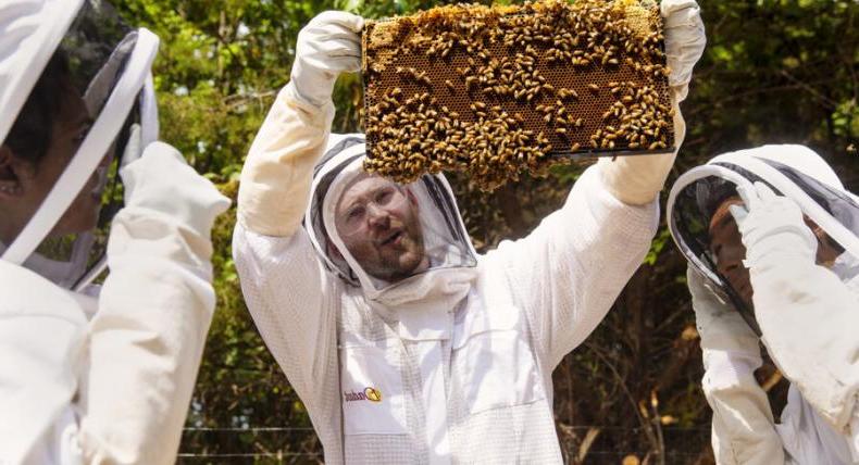 St .的生物系学生. 爱德华和他们的教授一起监视校园里的蜂巢