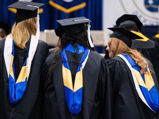 The backs of three graduates wearing caps, gowns and hoods.